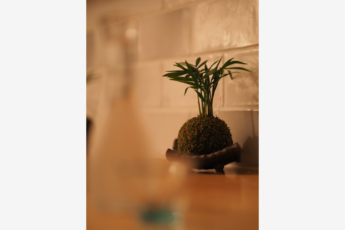 Kakky_Photographerが撮影した写真のアルバム「料理屋の撮影」