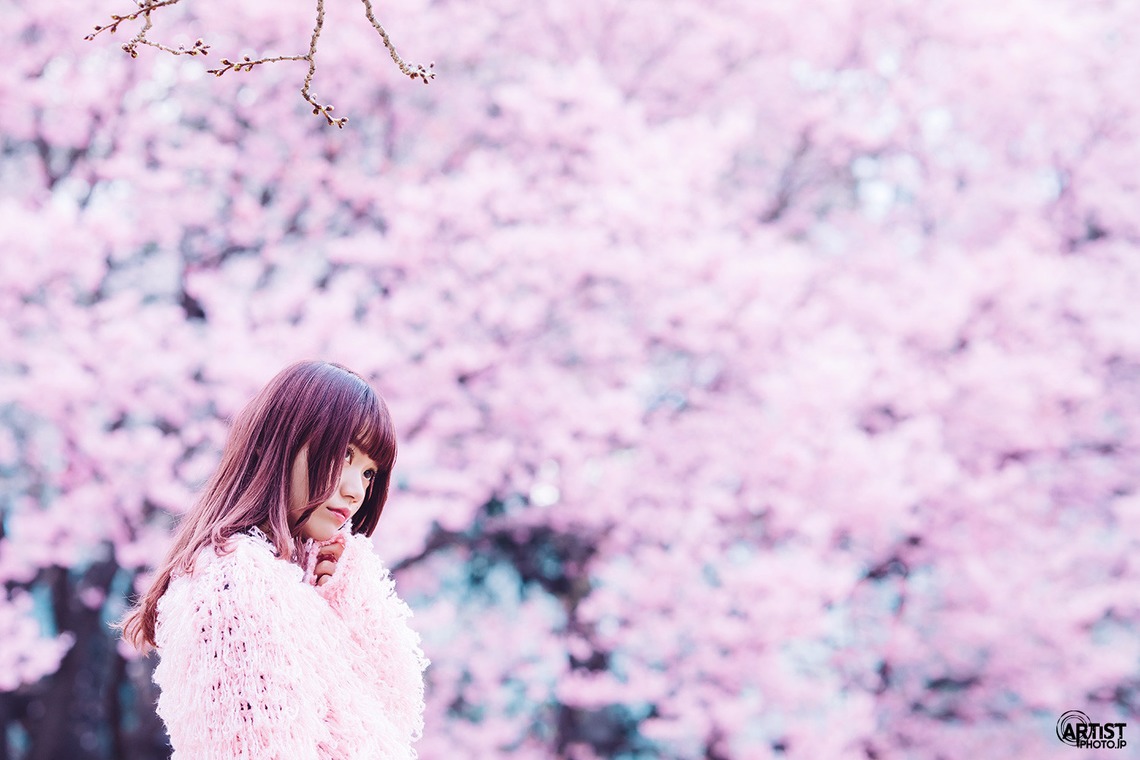 KIRAが撮影した写真のアルバム「「春の景色の中で」」