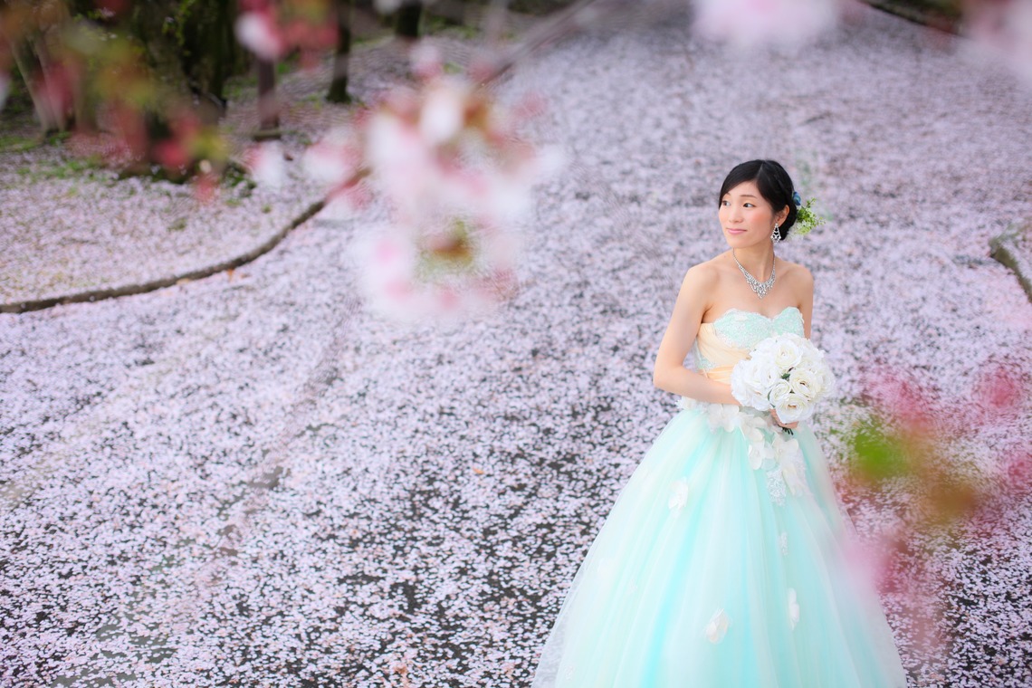 Album of the Wedding, Bridal taken by WEDDING AVENUE - 