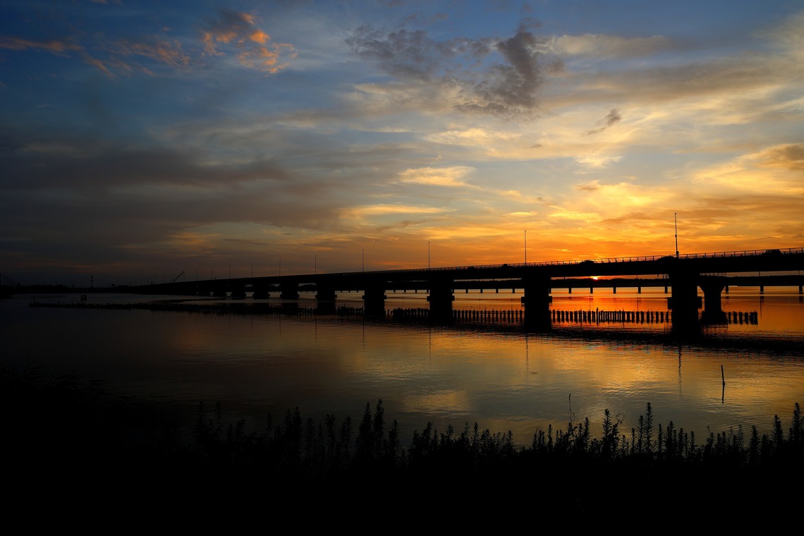 ms photoが撮影した「自然・風景」の写真