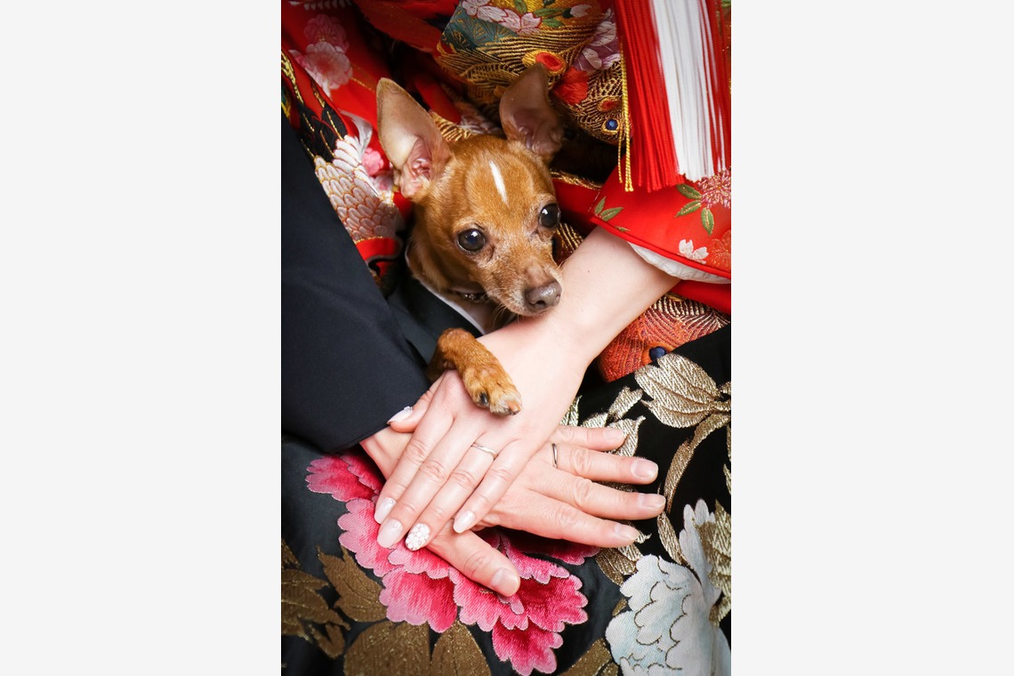 スマイルハンターが撮影した「ロケーション撮影／結婚写真」の写真