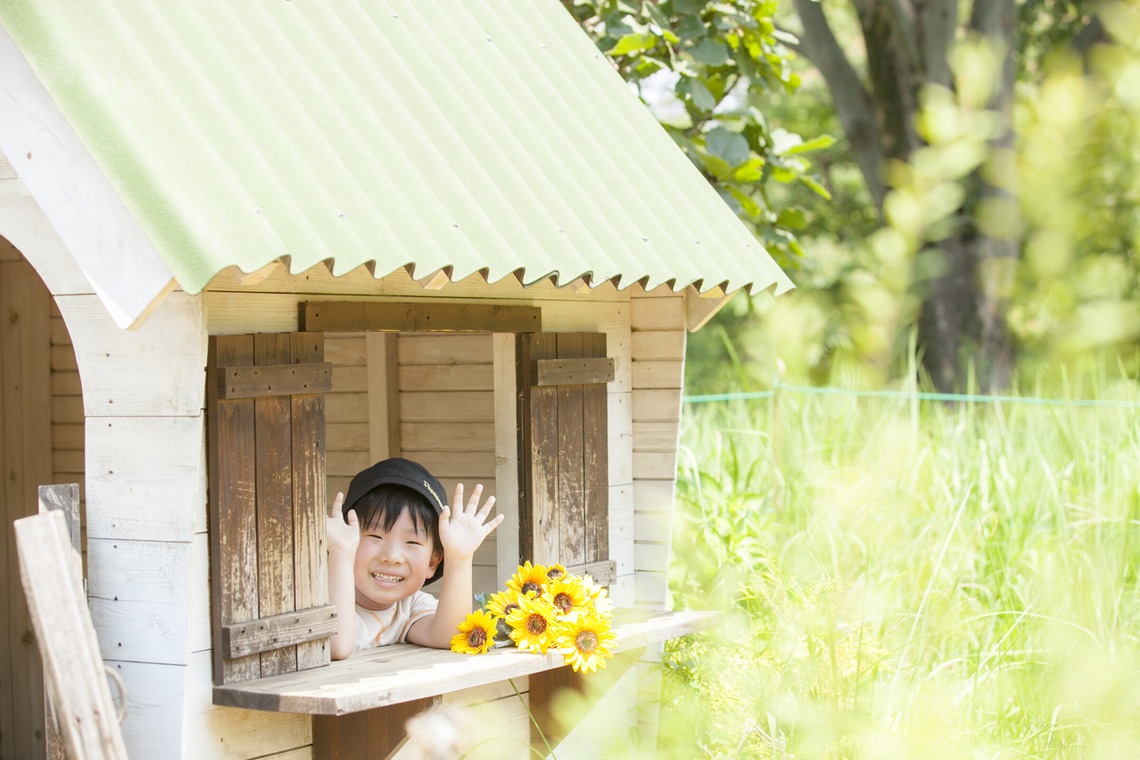 スタジオミルクが撮影した「ひまわり撮影＠昭和記念公園」の写真