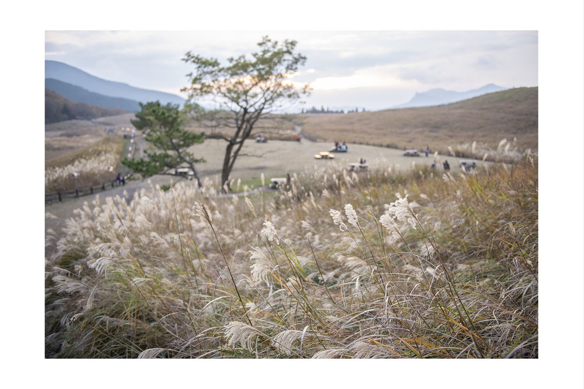 松本写真事務所が撮影した「ポートフォリオ」の写真