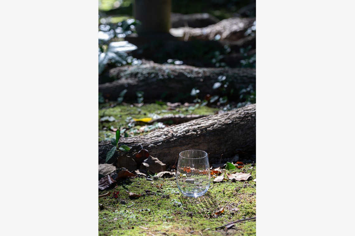 デグチマミが撮影した写真のアルバム「商品撮影」