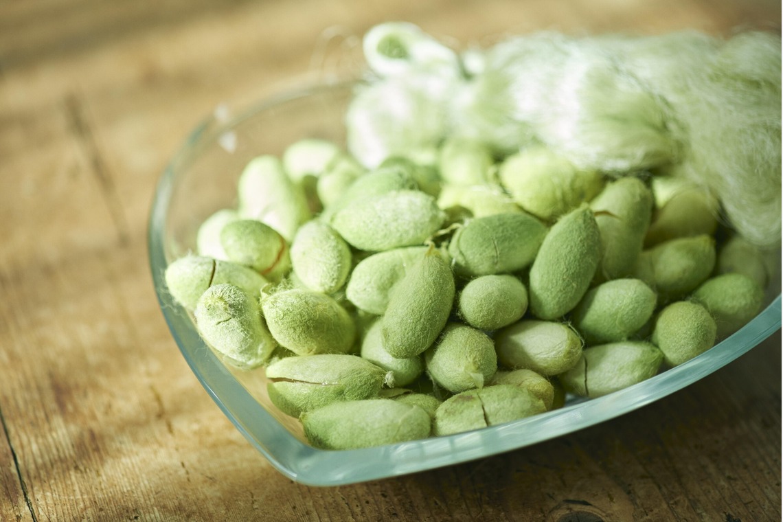 大橋裕紀が撮影した「企業様ホームページ用商品撮影」の写真