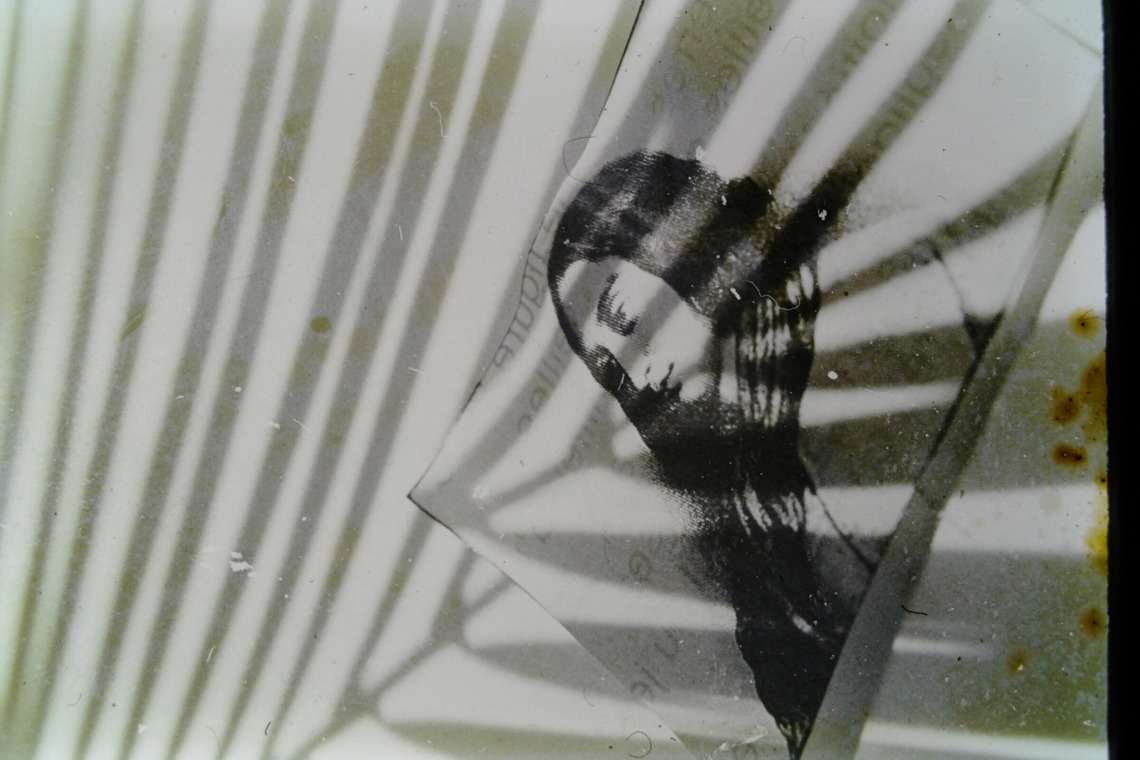 baysidecoyoteが撮影した「セカンドイメージ」の写真