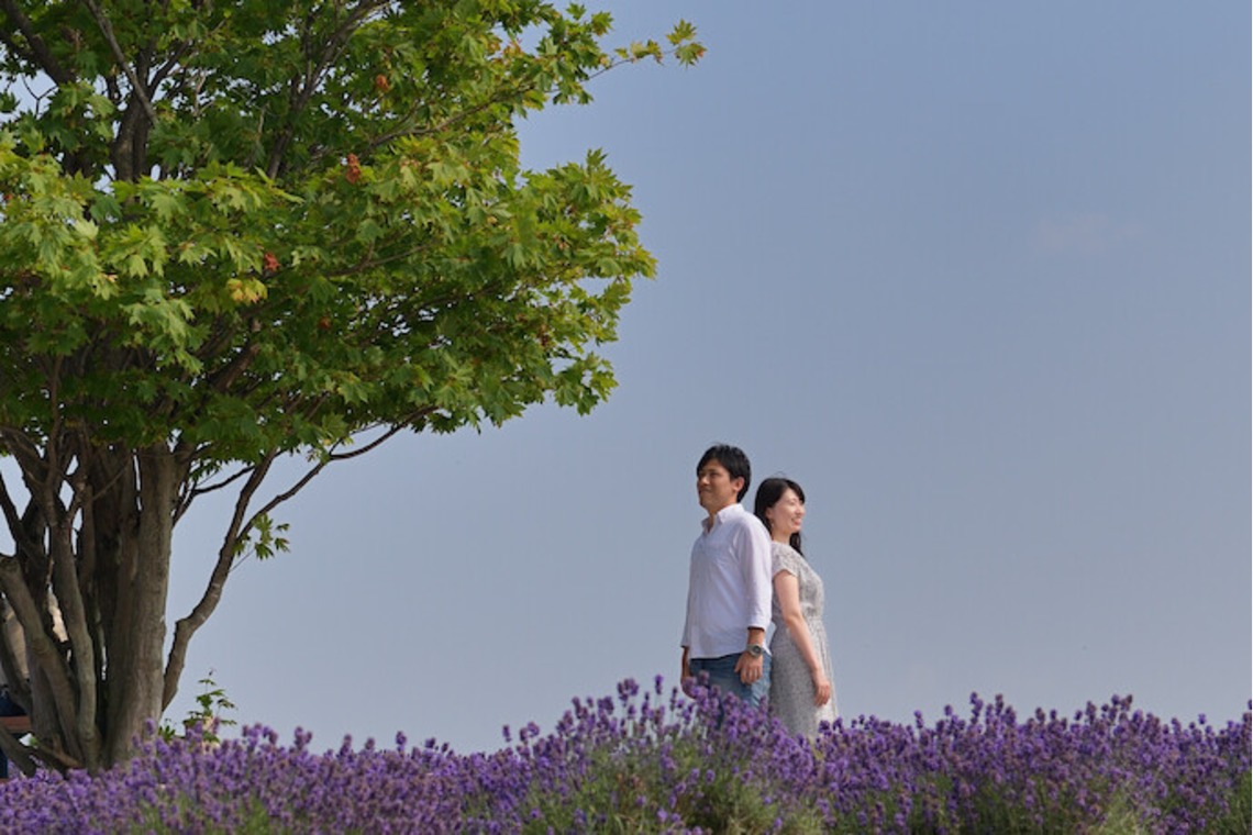 須貝フォトサービスが撮影した「富良野・美瑛・トマム」の写真