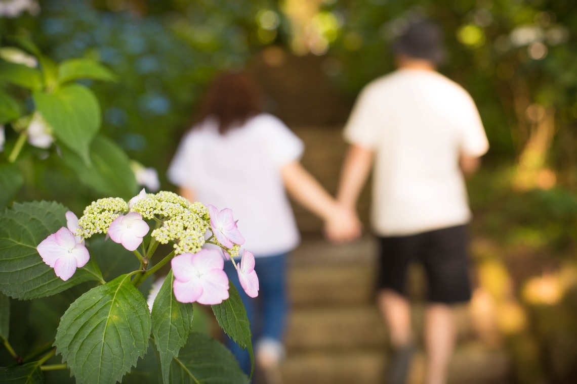 キタノフォトオフィス (北野尚史)が撮影した写真のアルバム「あじさいエンゲージメントフォト」