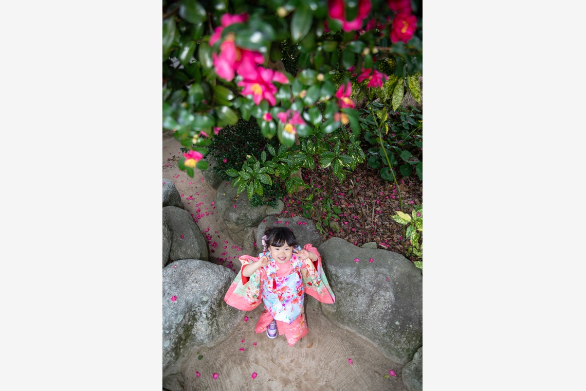 岩坪眞一郎が撮影した七五三フォトのアルバム「家族で七五三お宮参り」