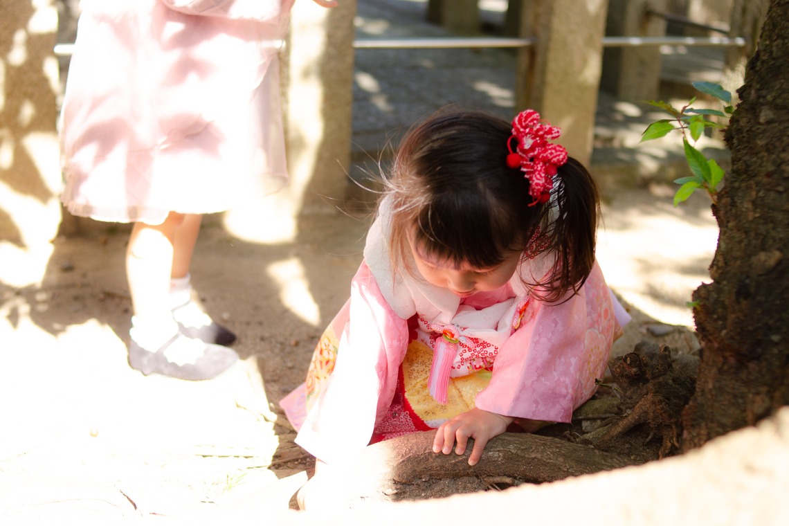 井上が撮影した写真のアルバム「七五三撮影@京都」