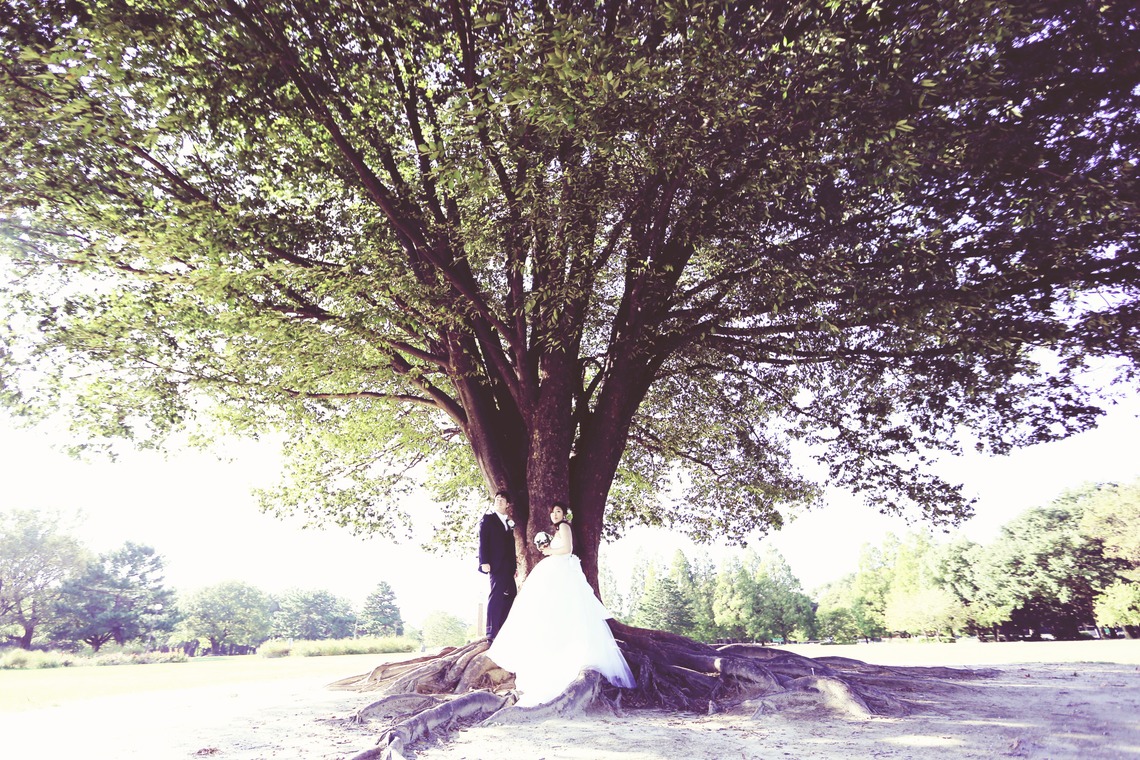 STUDIO 8 (スタジオエイト)が撮影した「名古屋フォト」の写真