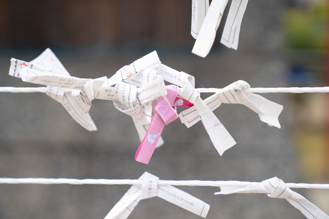 ハネムーンアベニューが撮影した「審査用 （物）」の写真