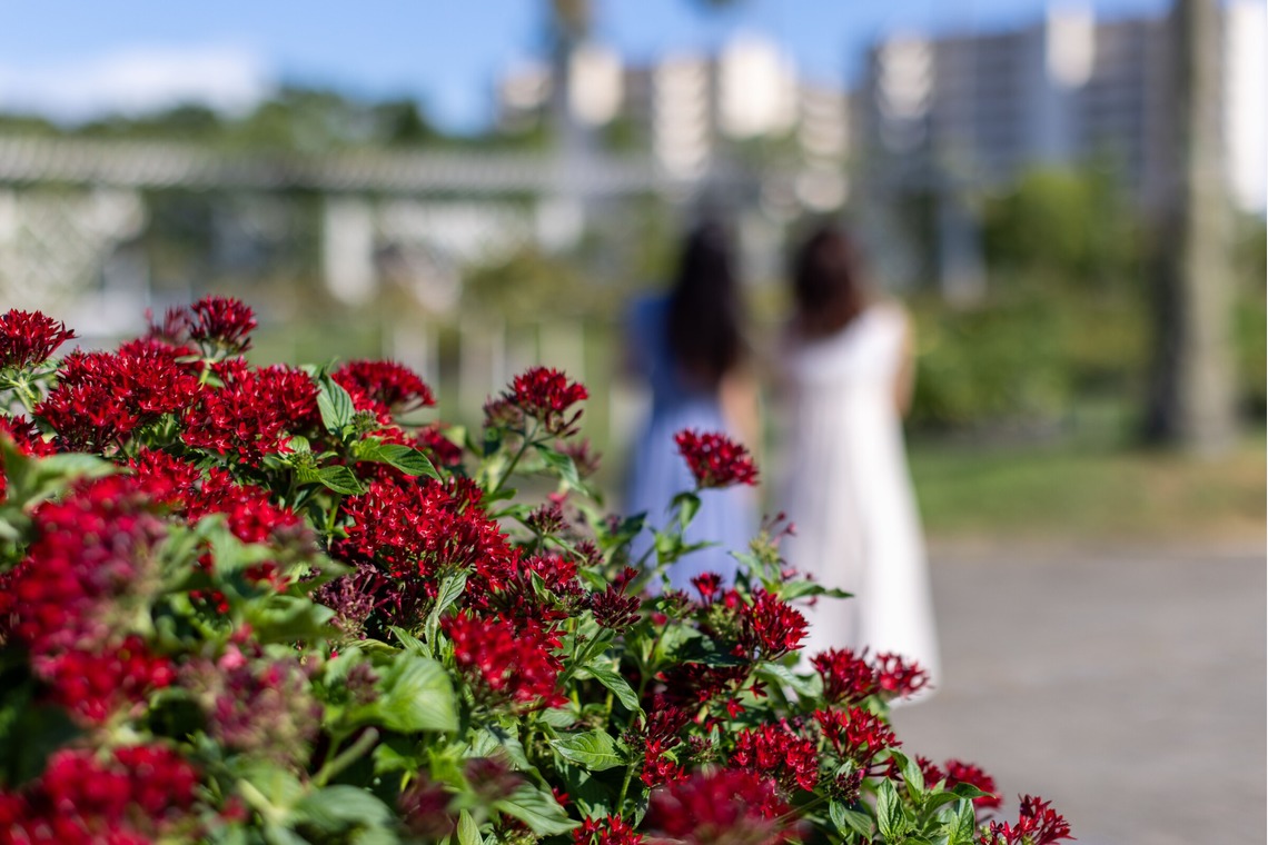 大辻尋稔が撮影した写真のアルバム「フレンドフォト」