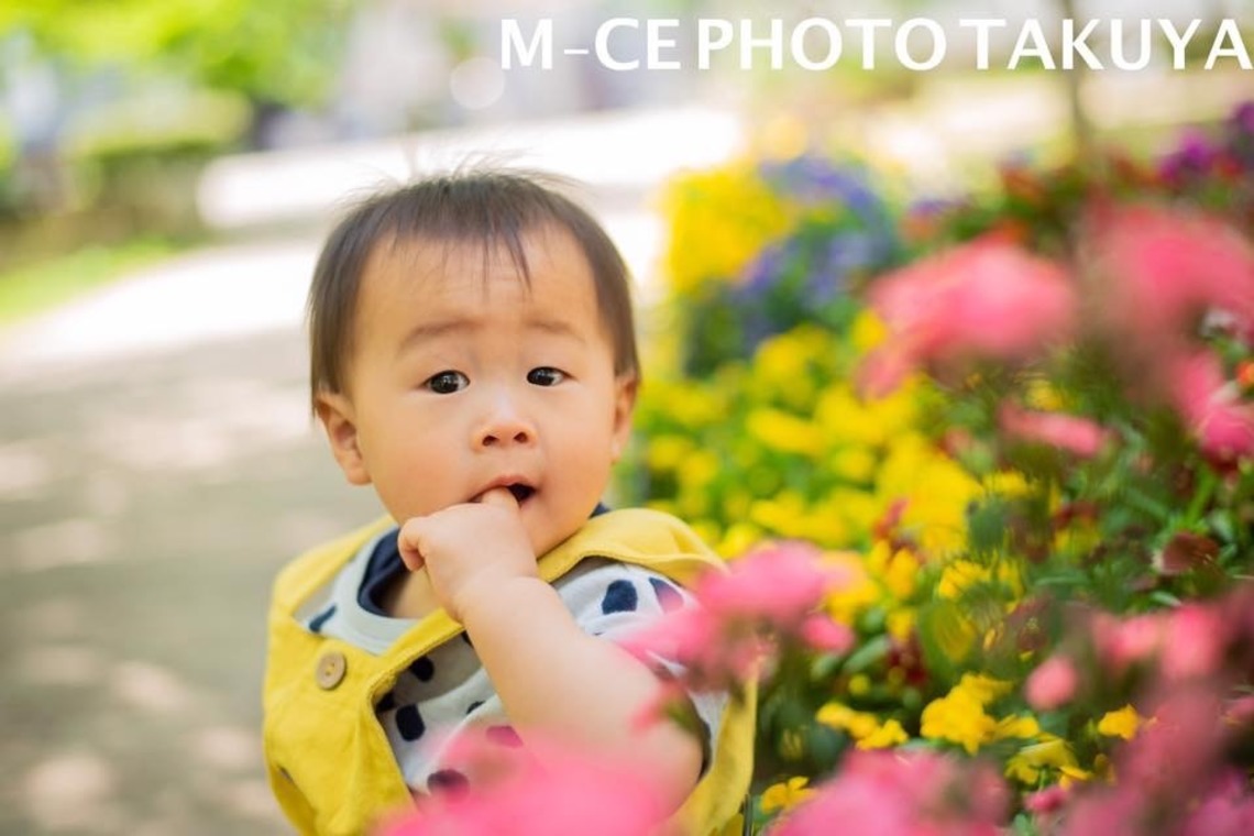 ミーチェ フォトが撮影した写真のアルバム「一生残る一瞬を」