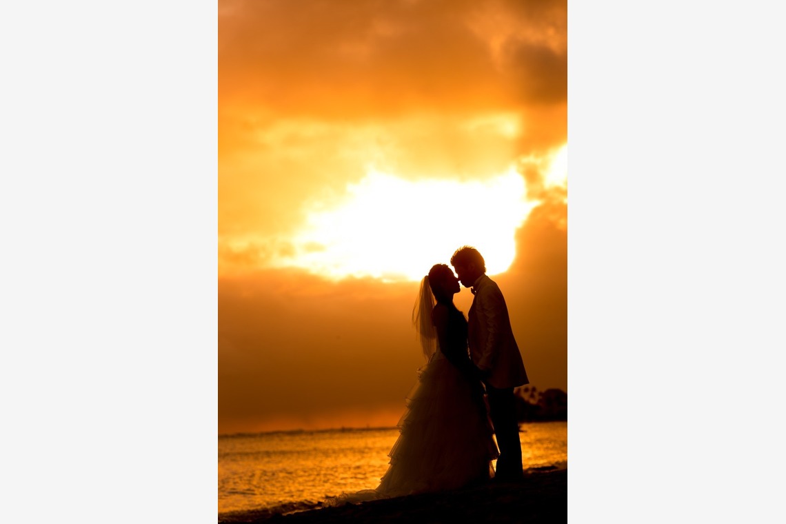 2cconcept (梅田福夫)が撮影した「フォトギャラリー」の写真