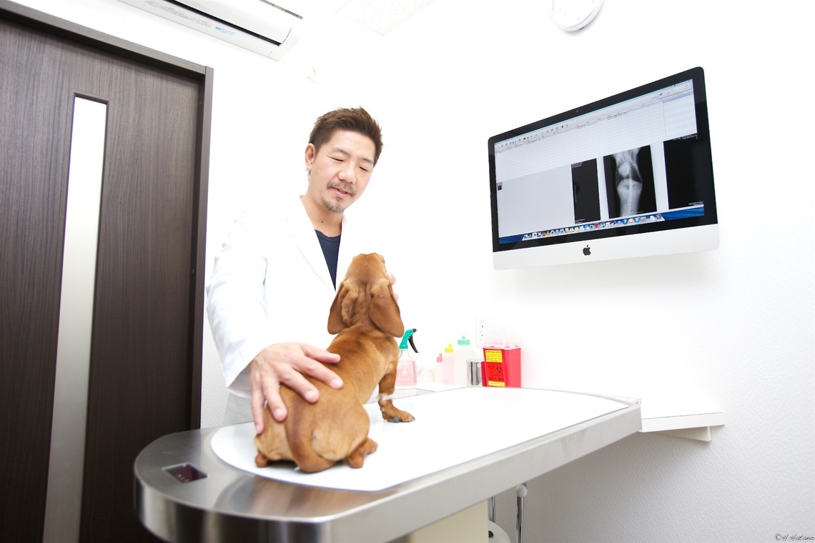 羽田野　秀男が撮影した「ビジネス」の写真