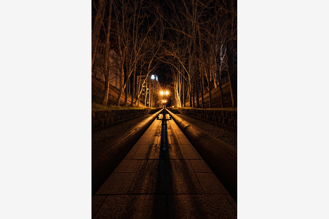 高木勇斗が撮影した「風景」の写真