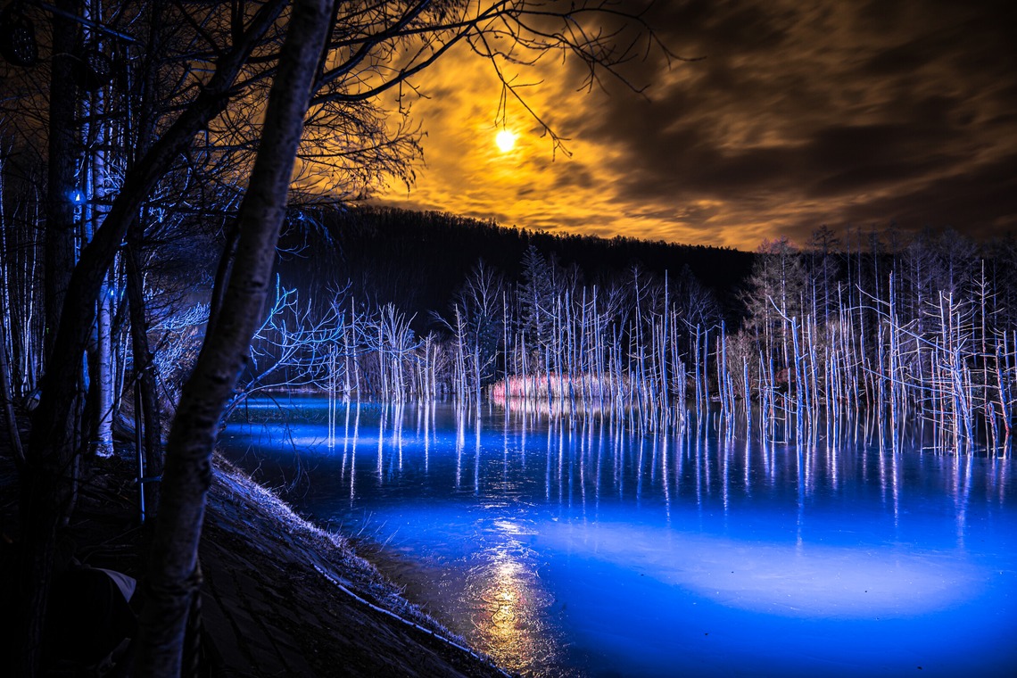 高木勇斗が撮影した「風景　物撮り」の写真