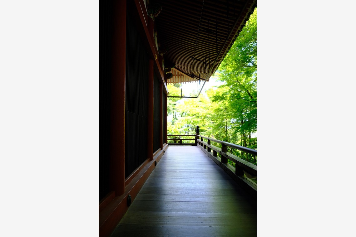 POPCORNが撮影した写真のアルバム「Sun」