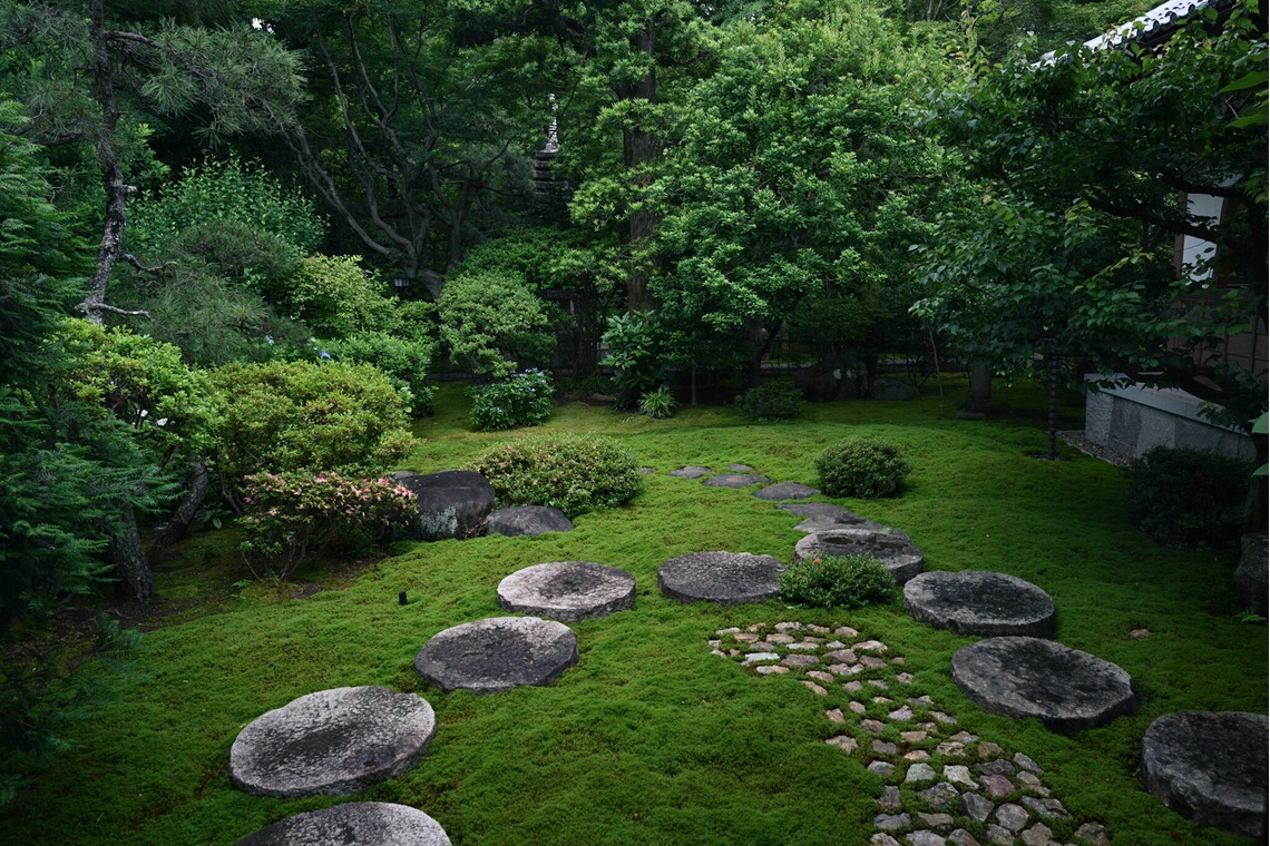 菅悠生が撮影した写真のアルバム「野外・庭園」