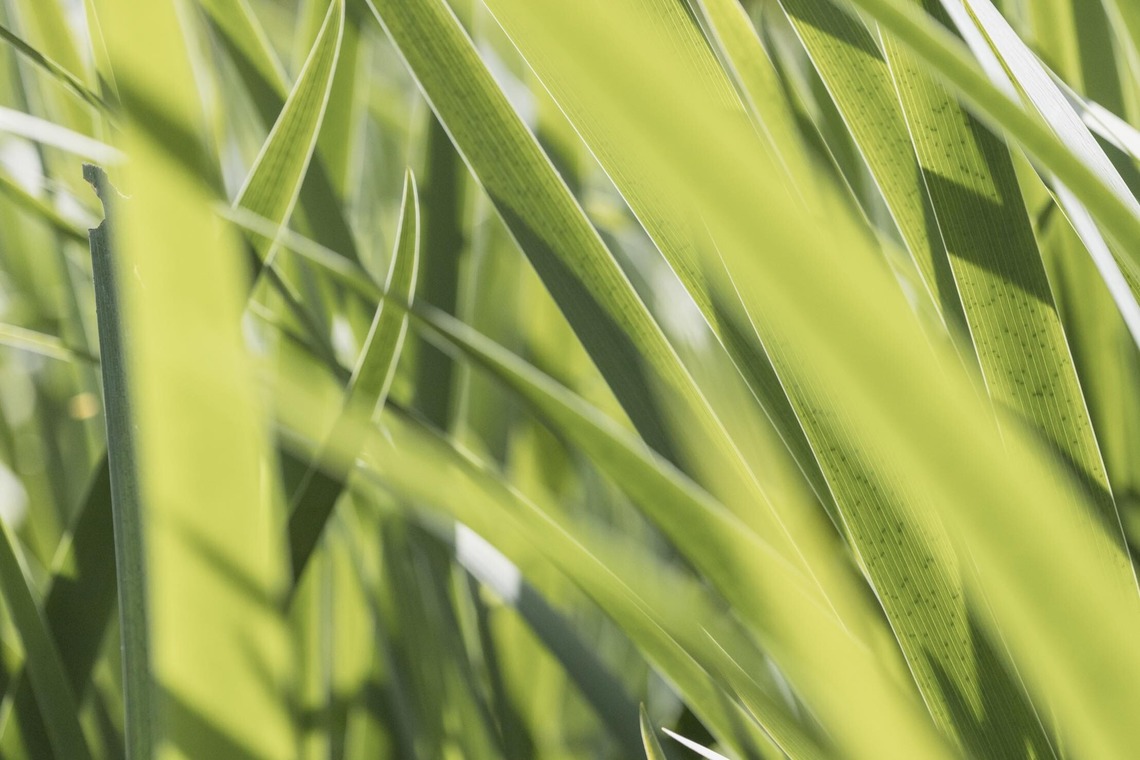 ポートレート沖縄が撮影した「サロンオーナー撮影」の写真