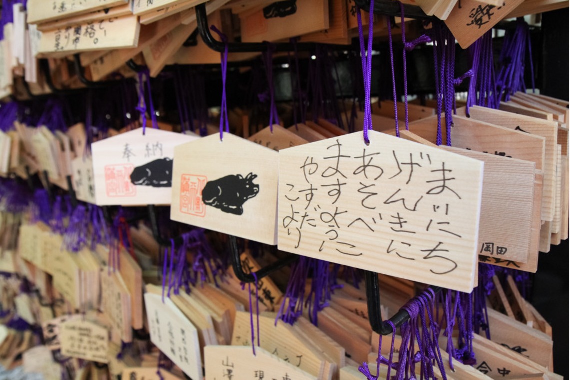 スマイルハンターが撮影した「七五三ロケーション撮影」の写真