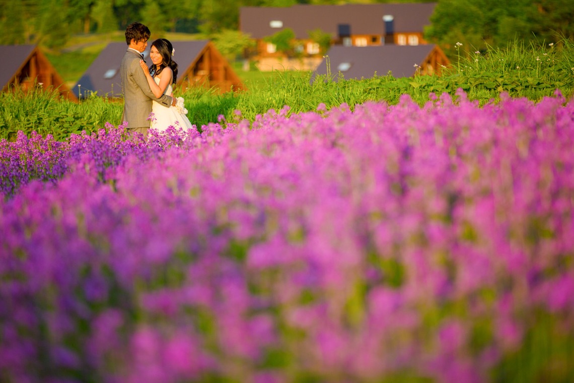 Photo of  taken by studio HATOYA