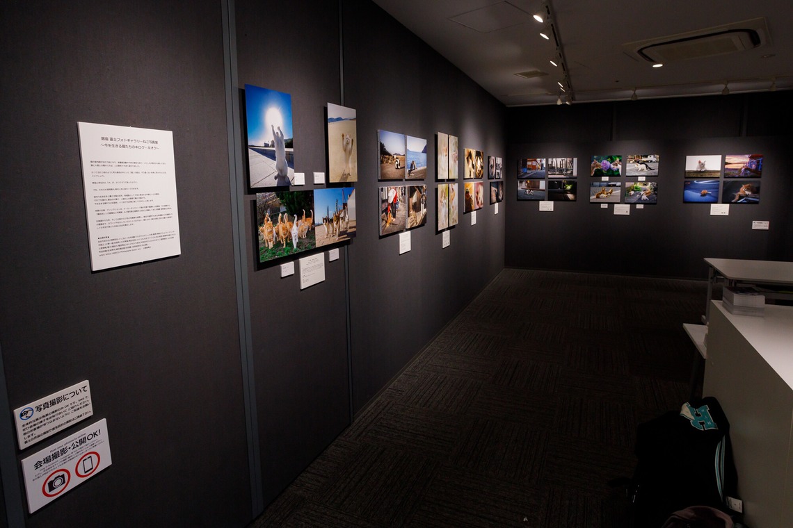 猫田晃広が撮影した写真のアルバム「店舗、サロン、ホテル」