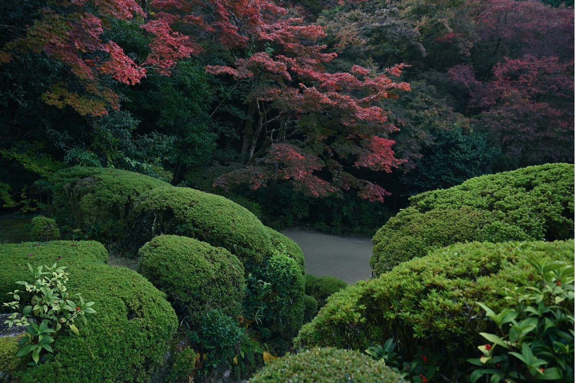 菅悠生が撮影した写真のアルバム「野外・庭園」