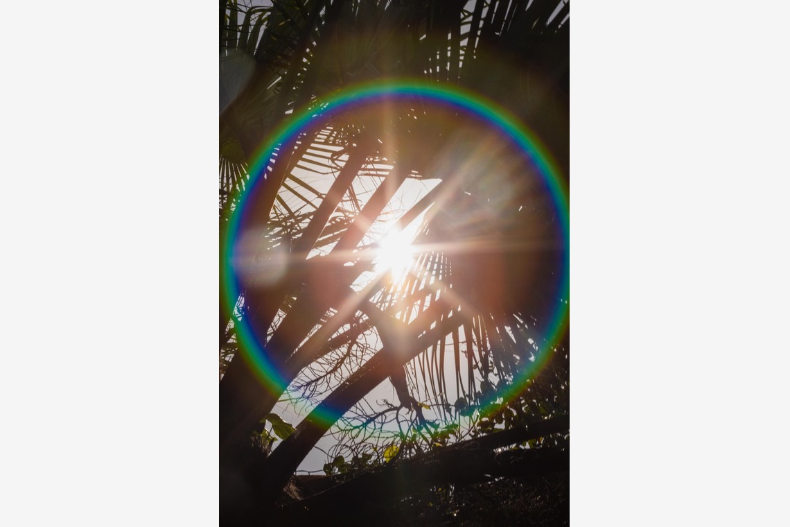 ポートレート沖縄が撮影した「サロンオーナー撮影」の写真