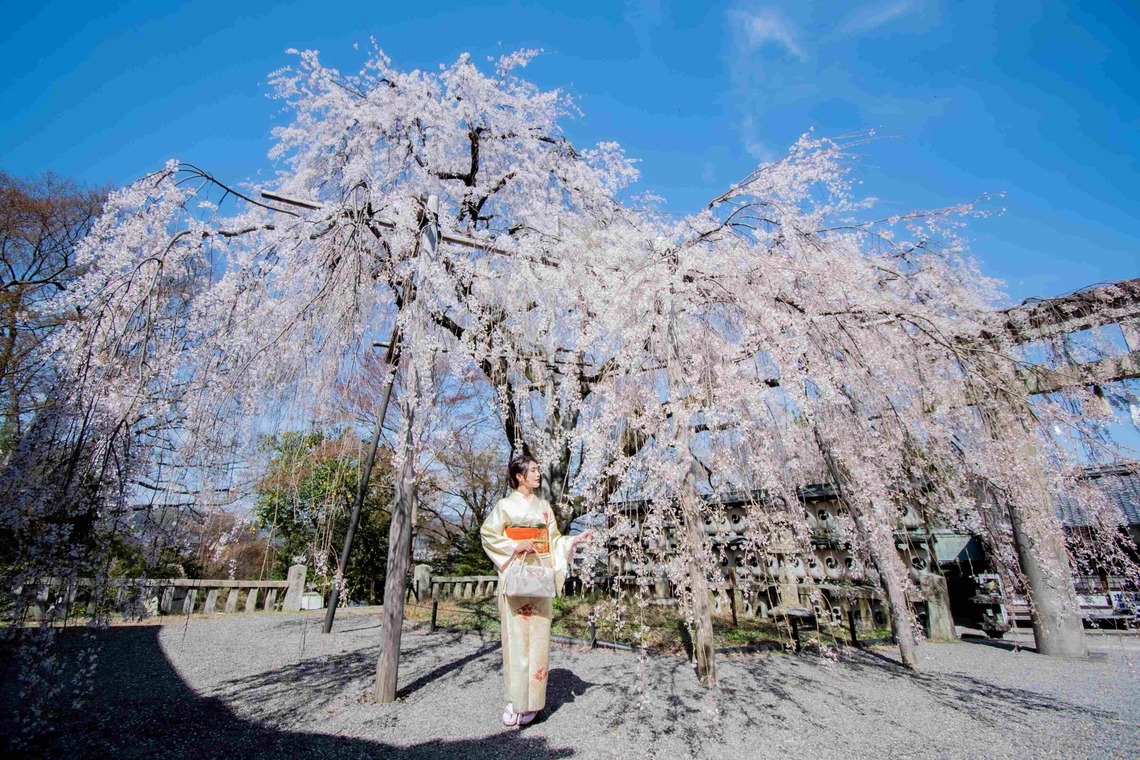 来田 篤典が撮影した「ポートレート」の写真