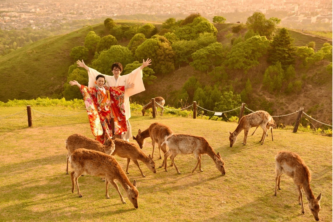 Photo of Pre Weddingphotoshoot at Nara with kimono in spring to summer taken by Kiki photo works