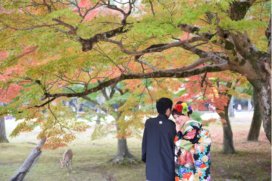 キキフォトワークスが撮影した写真のアルバム「秋の奈良公園で和装前撮り」