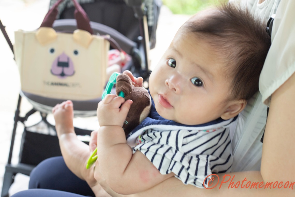 Album of the Wedding, Bridal taken by Photomemocon - 