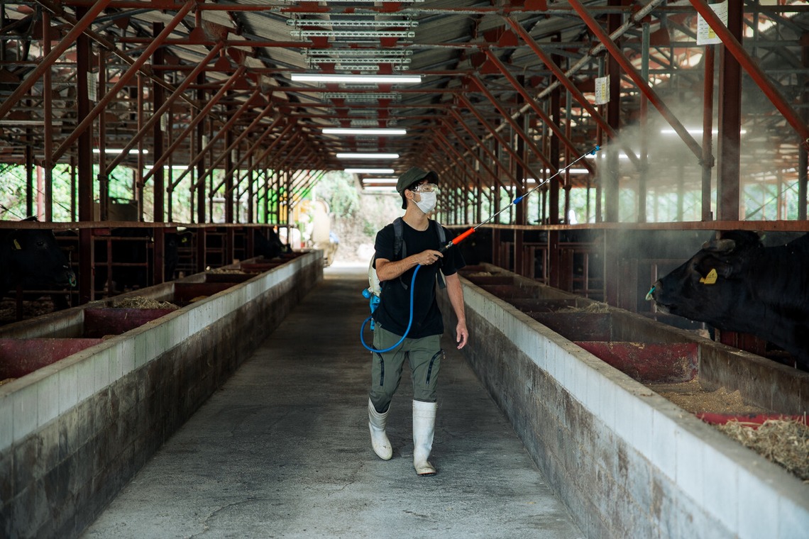 warren nathanが撮影した「art」の写真