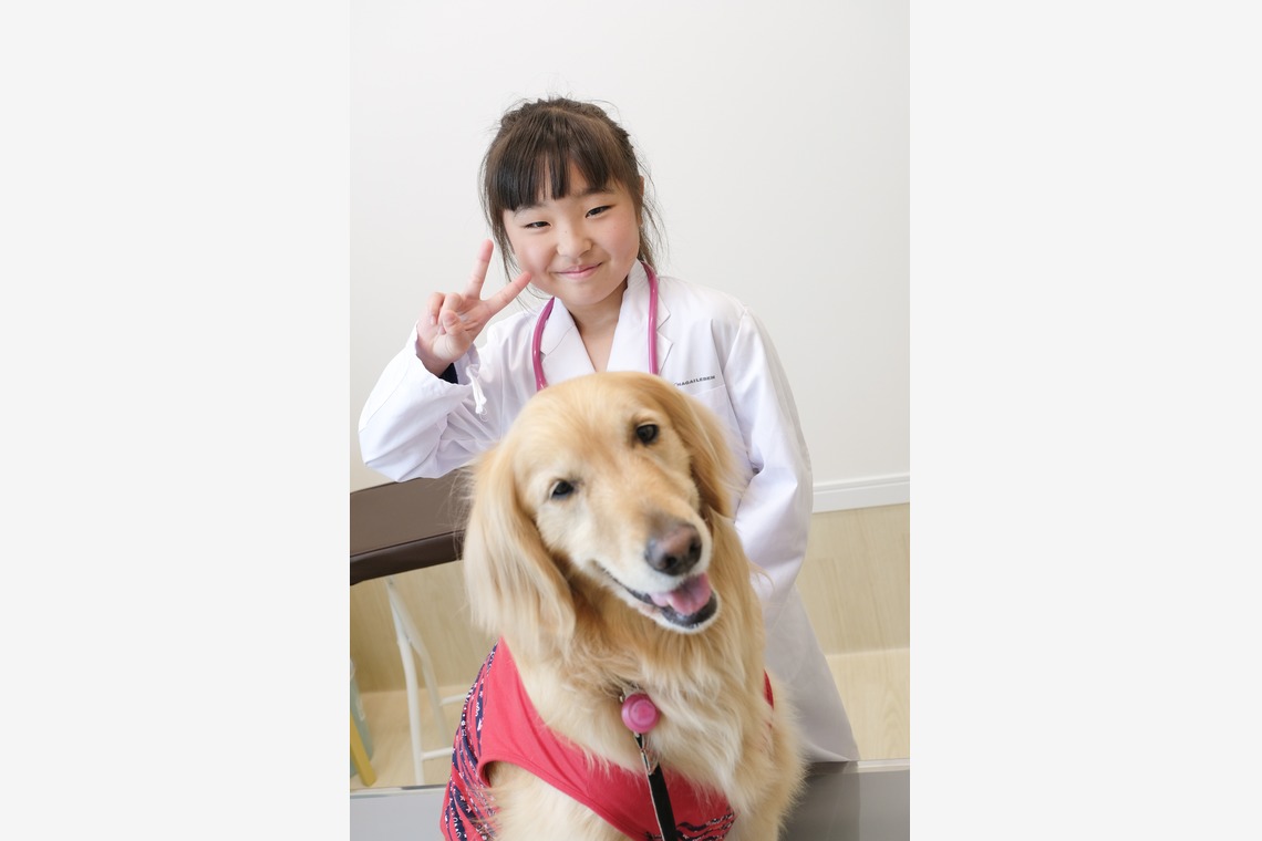 クマが撮影した写真のアルバム「ペット撮影」