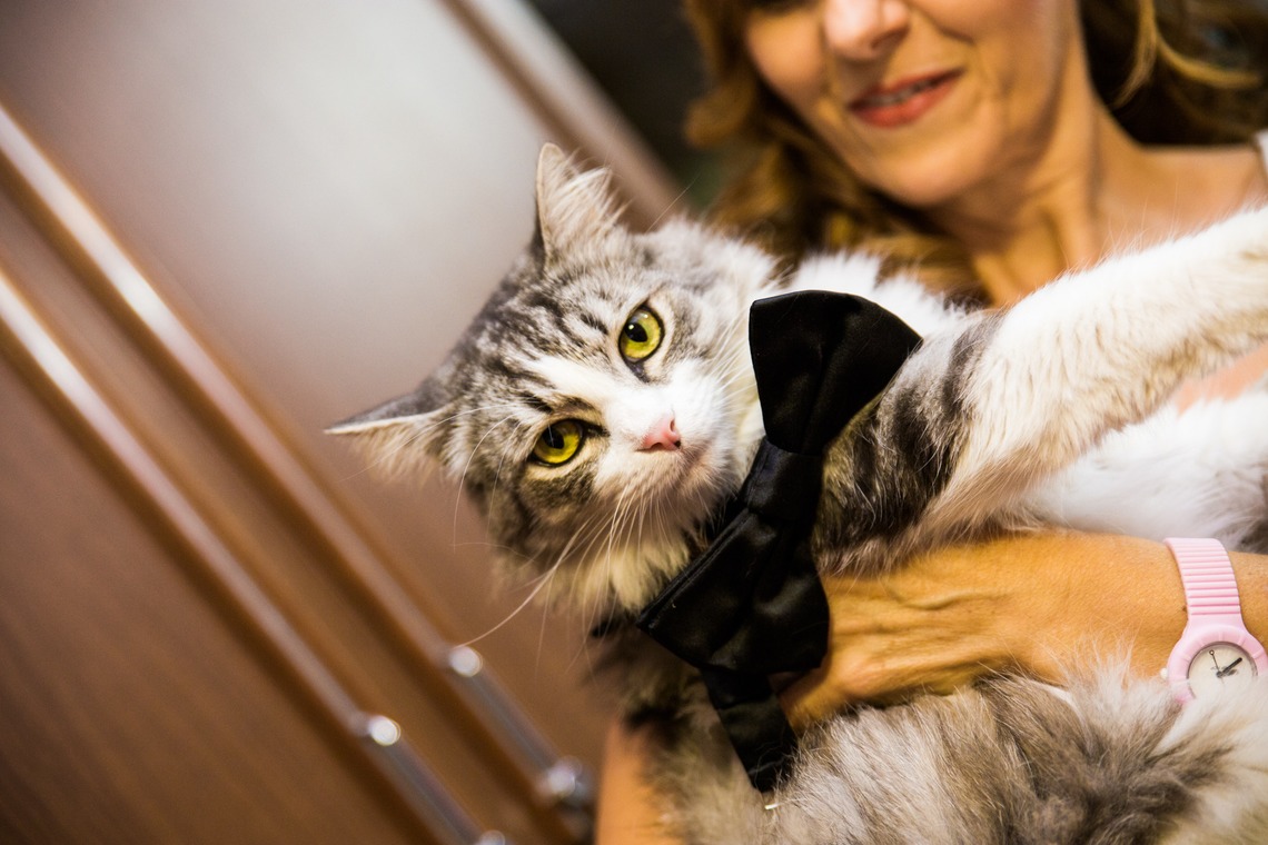 Alberto Orrú が撮影した写真のアルバム「イタリア」