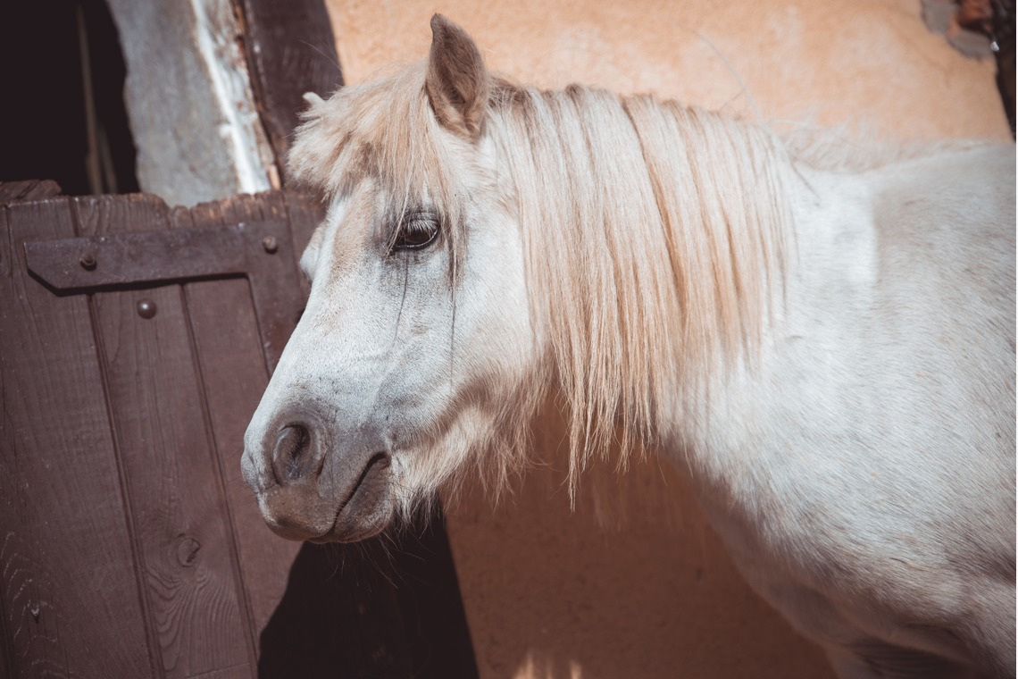 Jacek Cichopekが撮影した「ポーランド」の写真