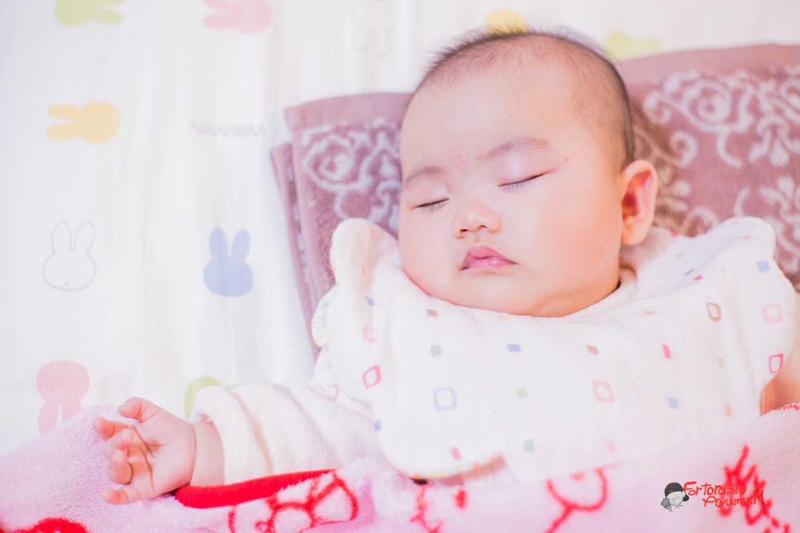 写真スペース　フォトラッシュが撮影した写真のアルバム「宇部市出張撮影」