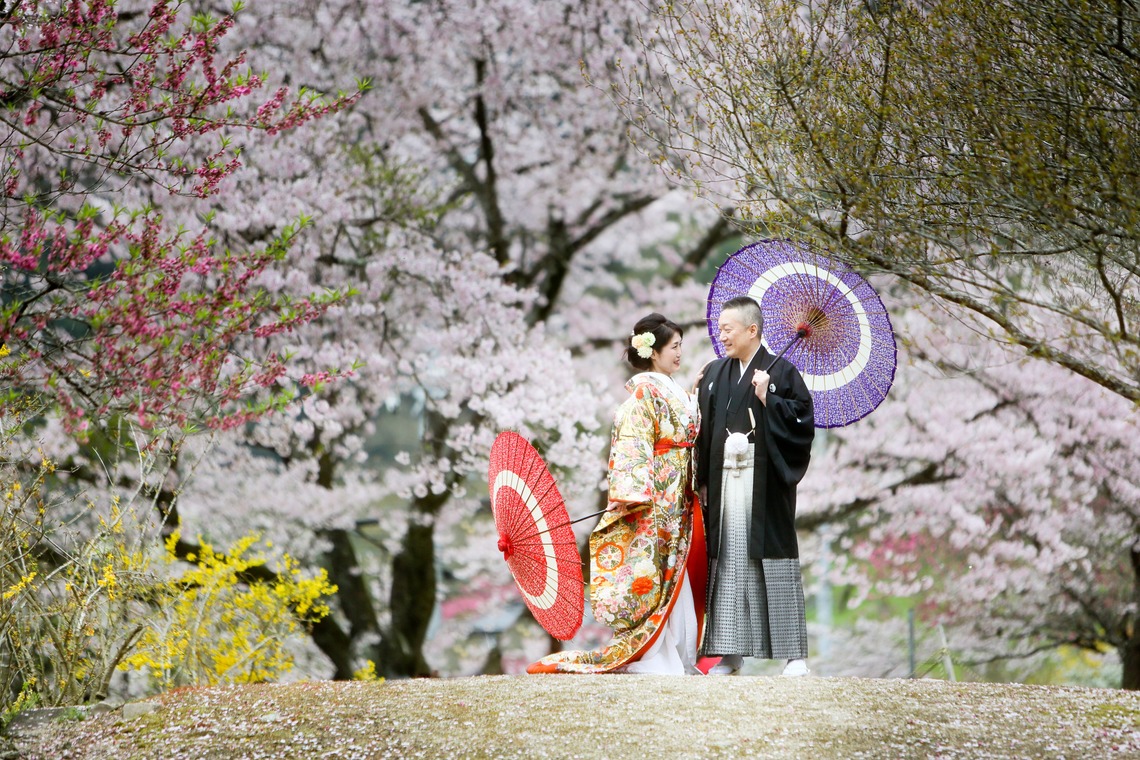KIKIウェディングが撮影した写真のアルバム「桜　桜　桜」