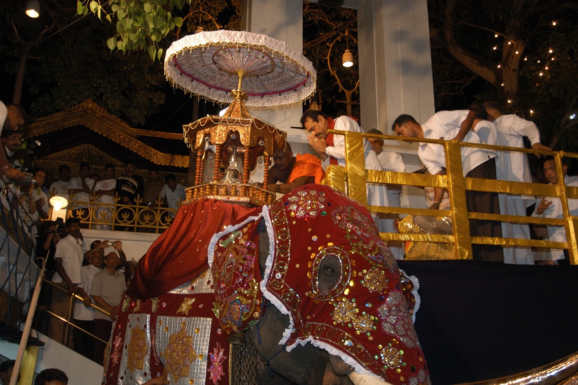 梶田　誠が撮影した写真のアルバム「スリランカ　ペラヘラ祭り」