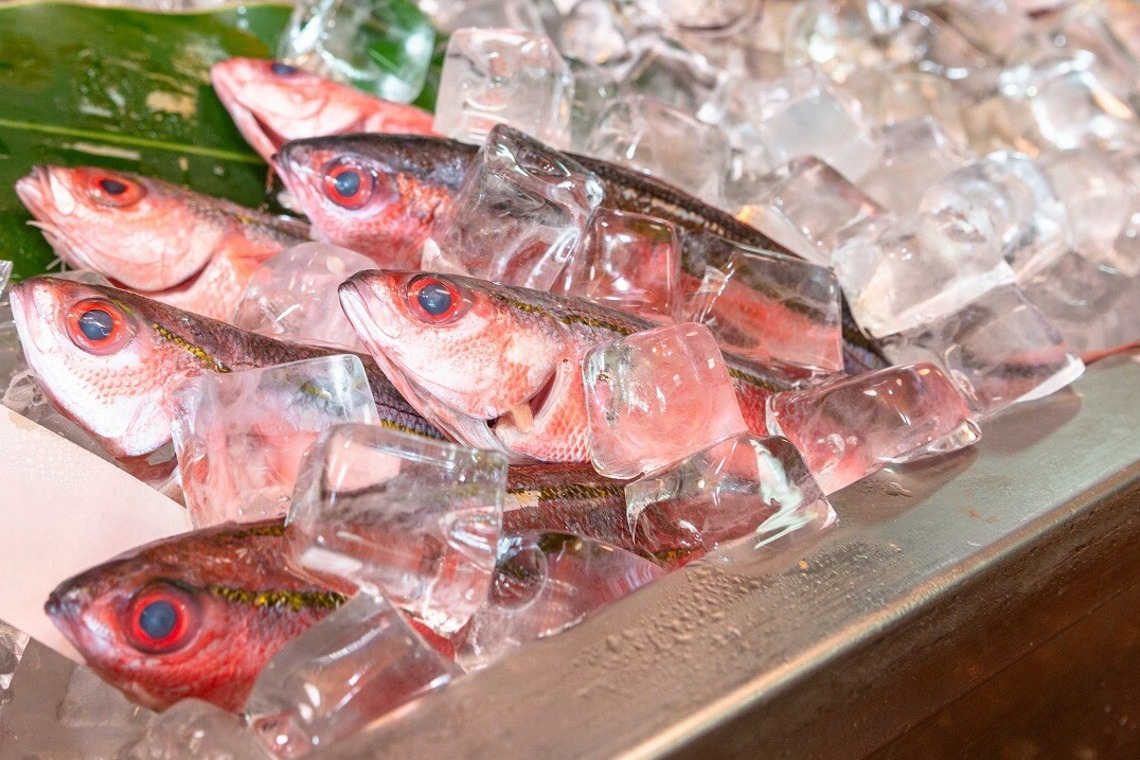 エンリッチ フォトグラフィーが撮影した「商品画像」の写真