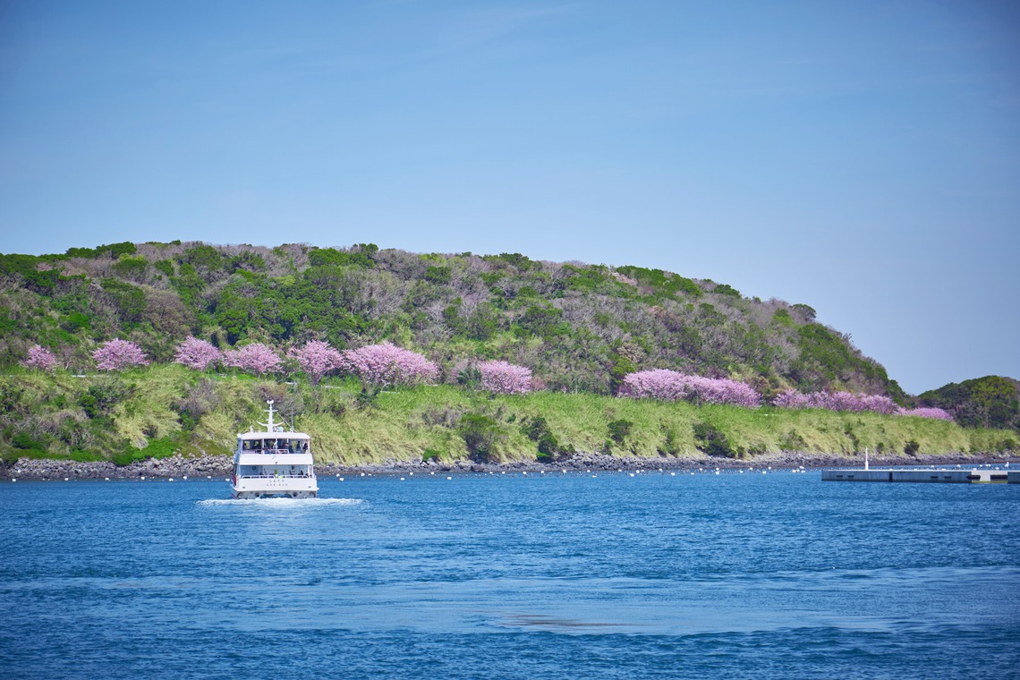津田野 瑞希が撮影した「風景」の写真