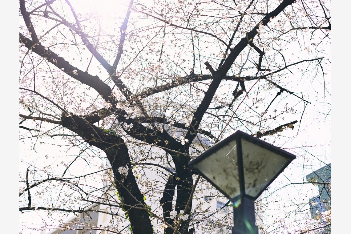 大橋裕紀が撮影した「お子さんと家族記念写真撮影」の写真