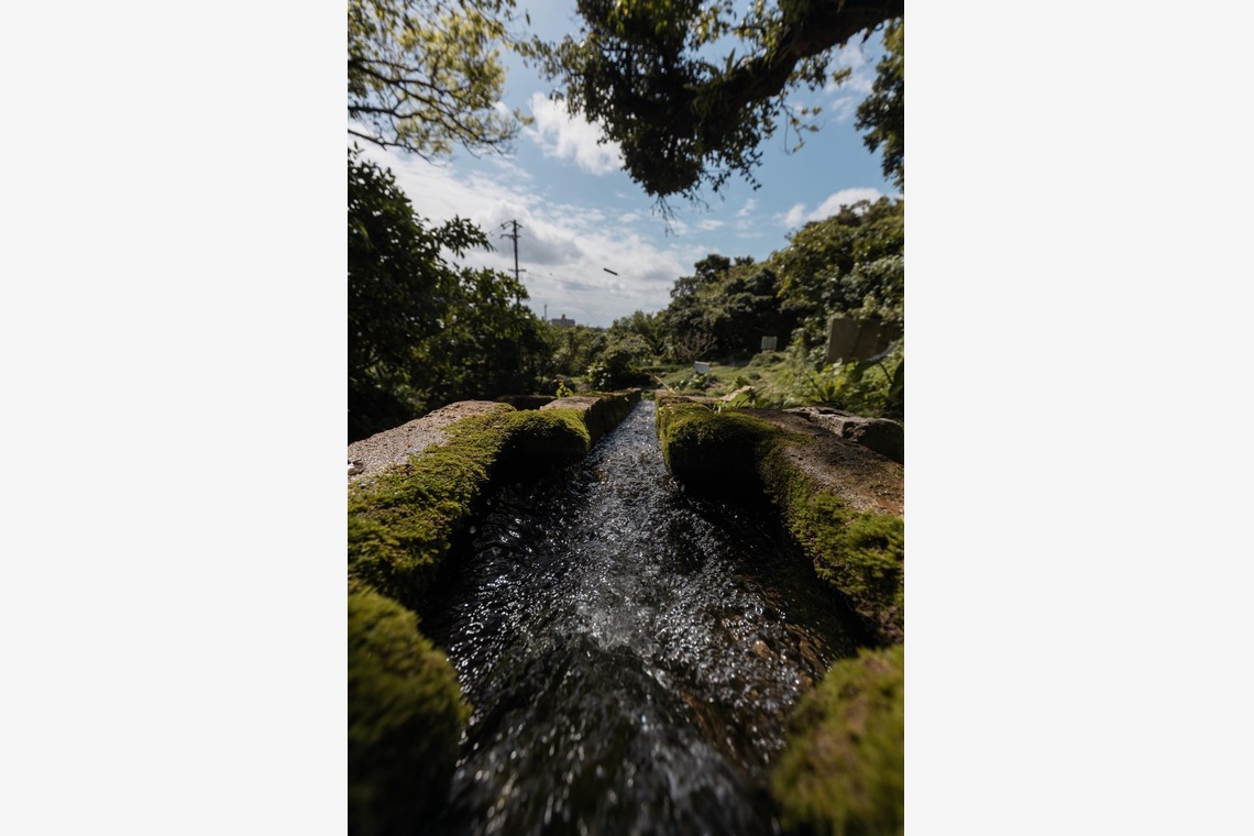 ポートレート沖縄が撮影した「サロンオーナー撮影」の写真