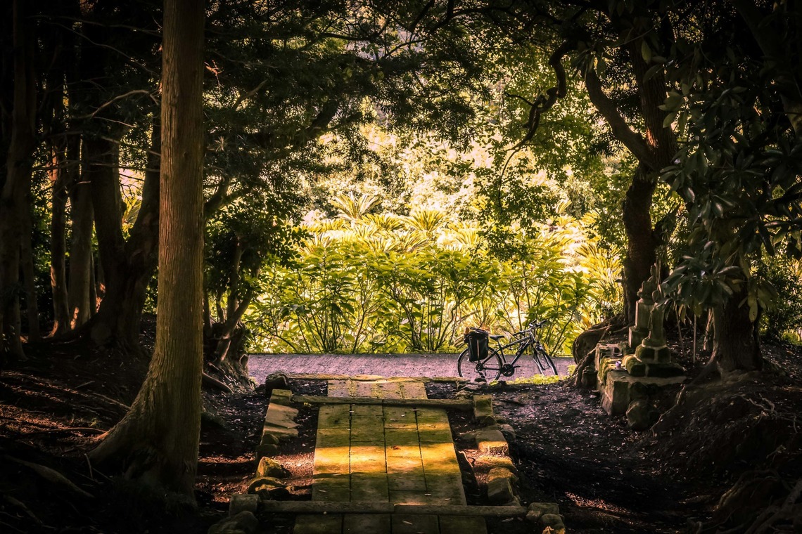 なかむーフォトが撮影した写真のアルバム「風景」