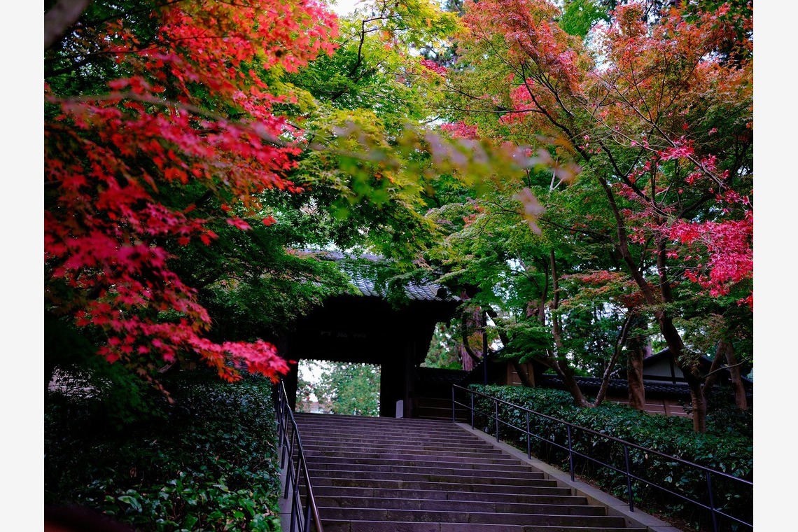 Mid-Village Studioが撮影した「日本家屋」の写真