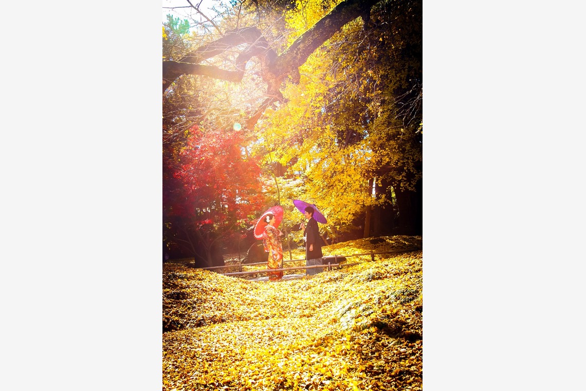 加倉井 規晃が撮影した写真のアルバム「ロケーション・前撮り・公園・和装」