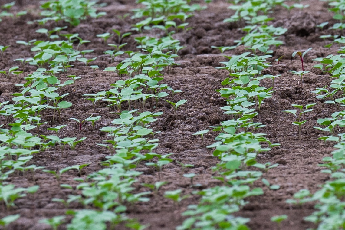 出張撮影TLaboが撮影した「求人用　職場風景の撮影」の写真