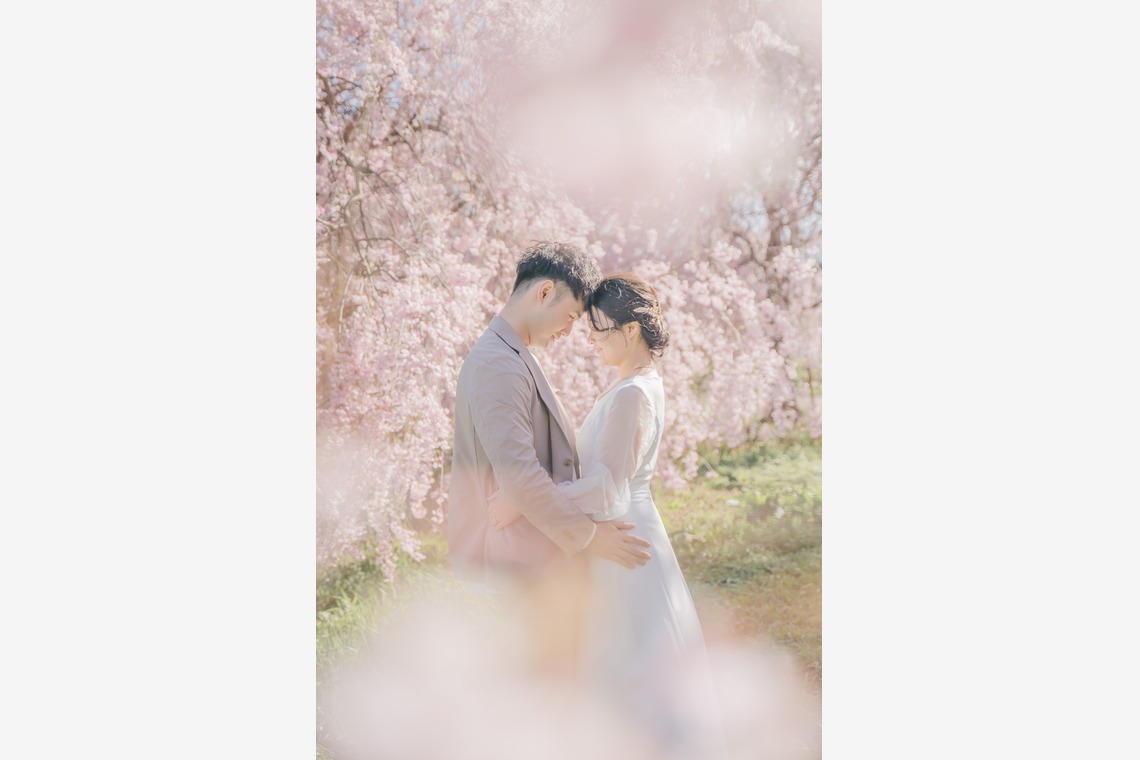 Album of the Location Photo Shoot taken by スタジオアルパルカ - pre-spring photo